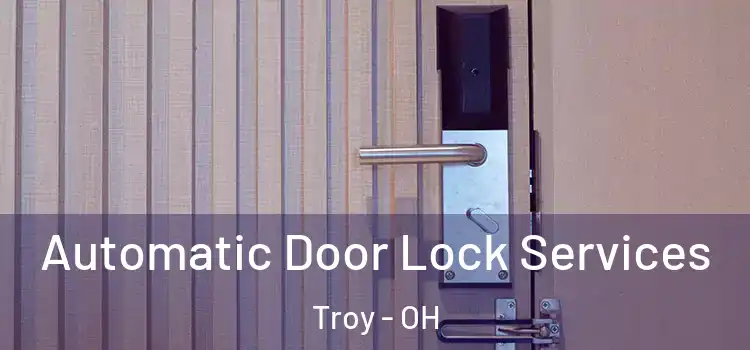 Automatic Door Lock Services Troy - OH